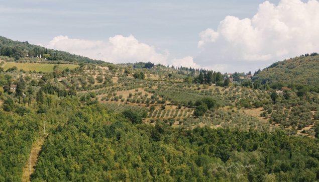 tuscan-counrty-wedding