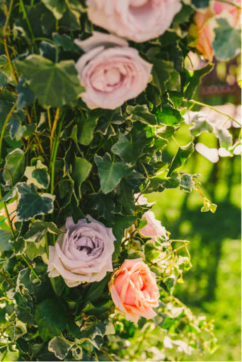 flowers-in-florence-tuscany